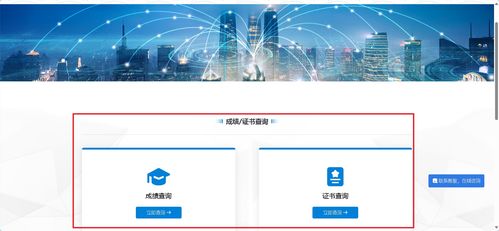 信息技術(shù)咨詢(xún) 1+x成績(jī)查詢(xún)及職業(yè)技能等級(jí)證書(shū)下載超詳細(xì)指南