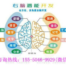 廈門學之源科技開發(fā)公司 專注早教教材與幼教產(chǎn)品，引領信息技術咨詢服務